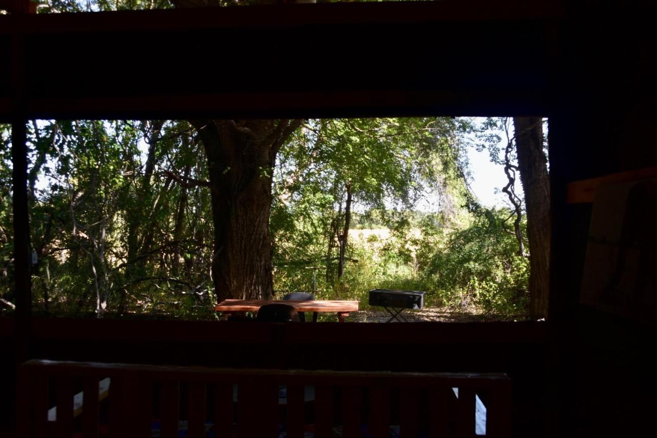 Phazama Farm Villa Maun ภายนอก รูปภาพ