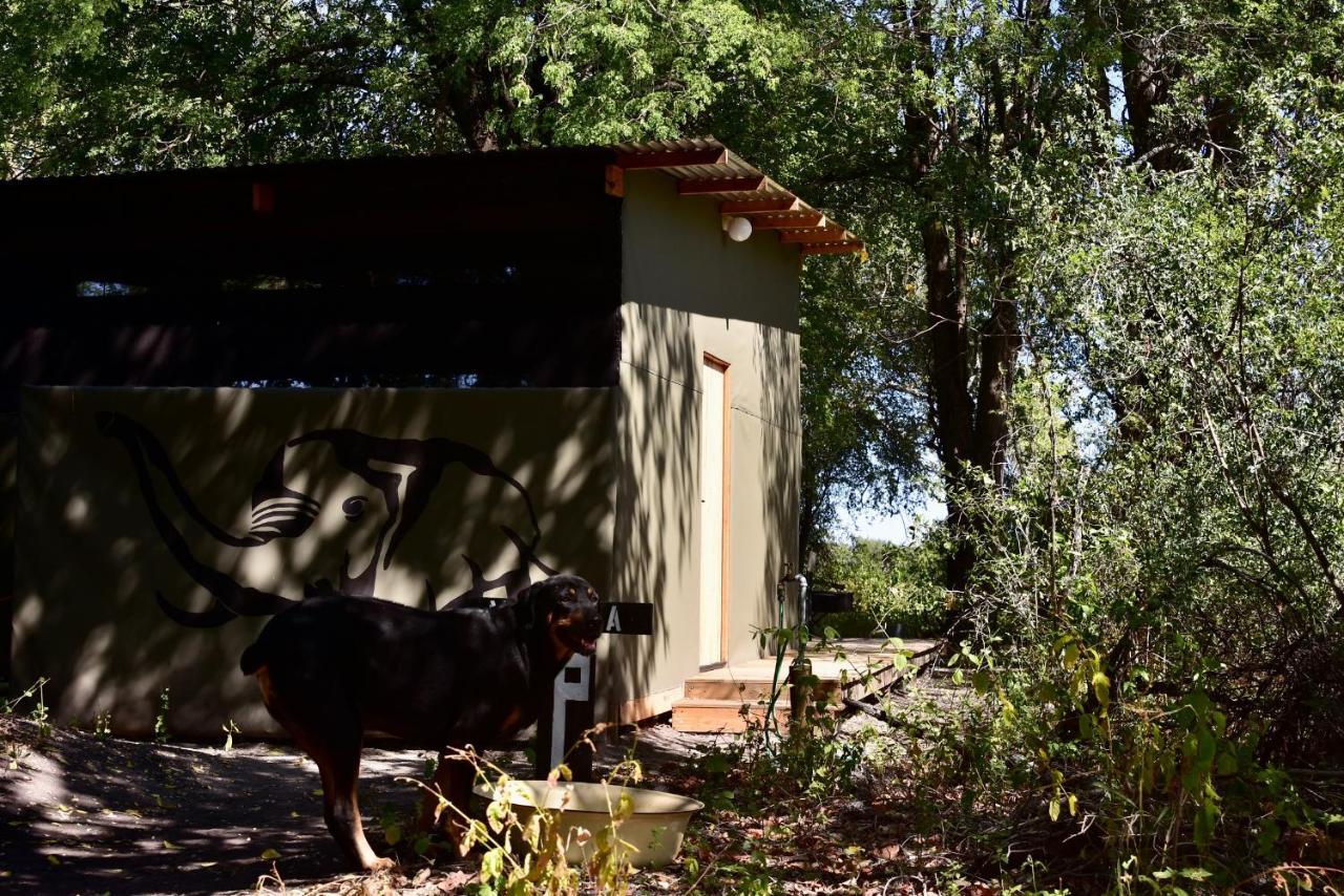Phazama Farm Villa Maun ภายนอก รูปภาพ