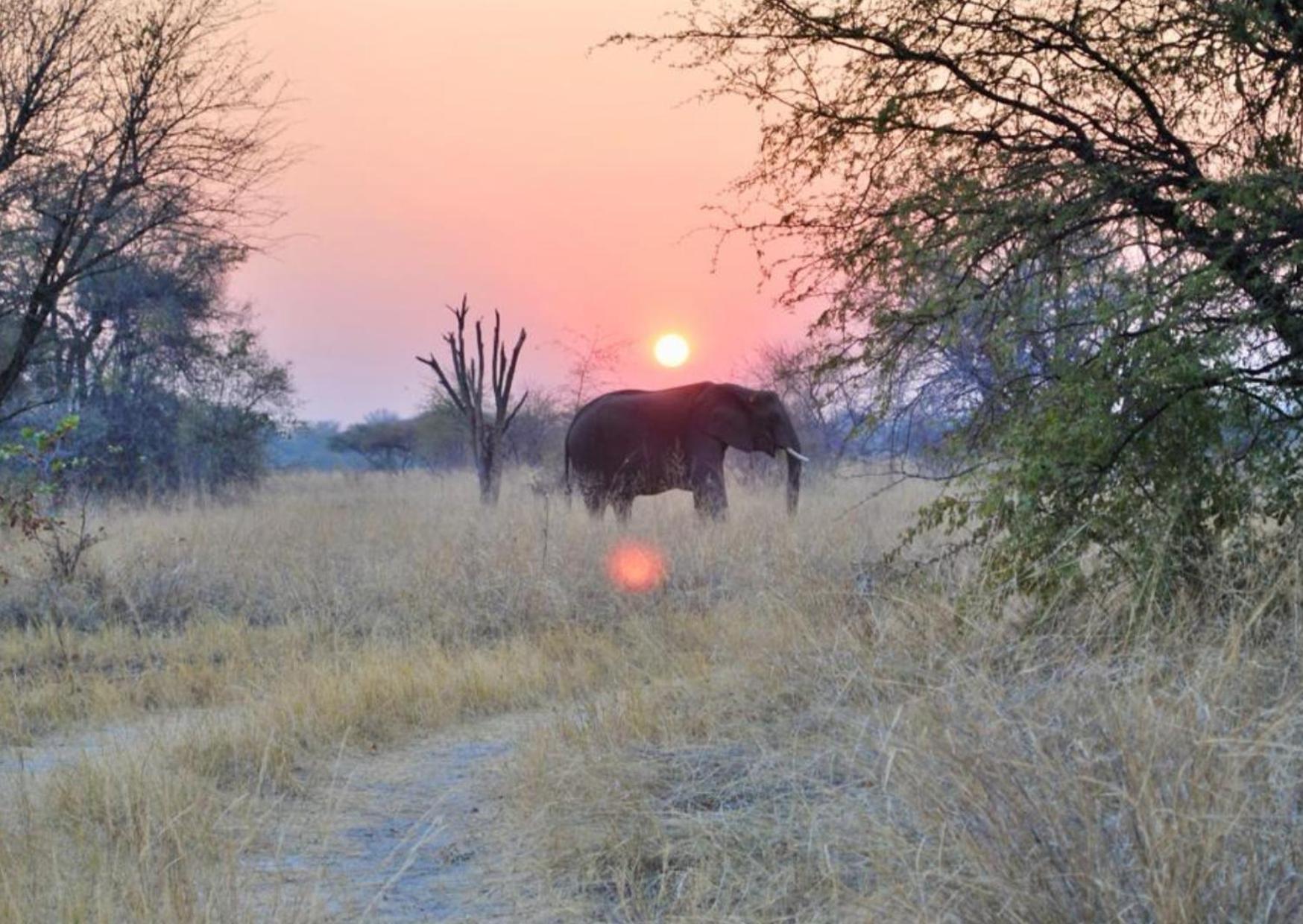 Phazama Farm Villa Maun ภายนอก รูปภาพ