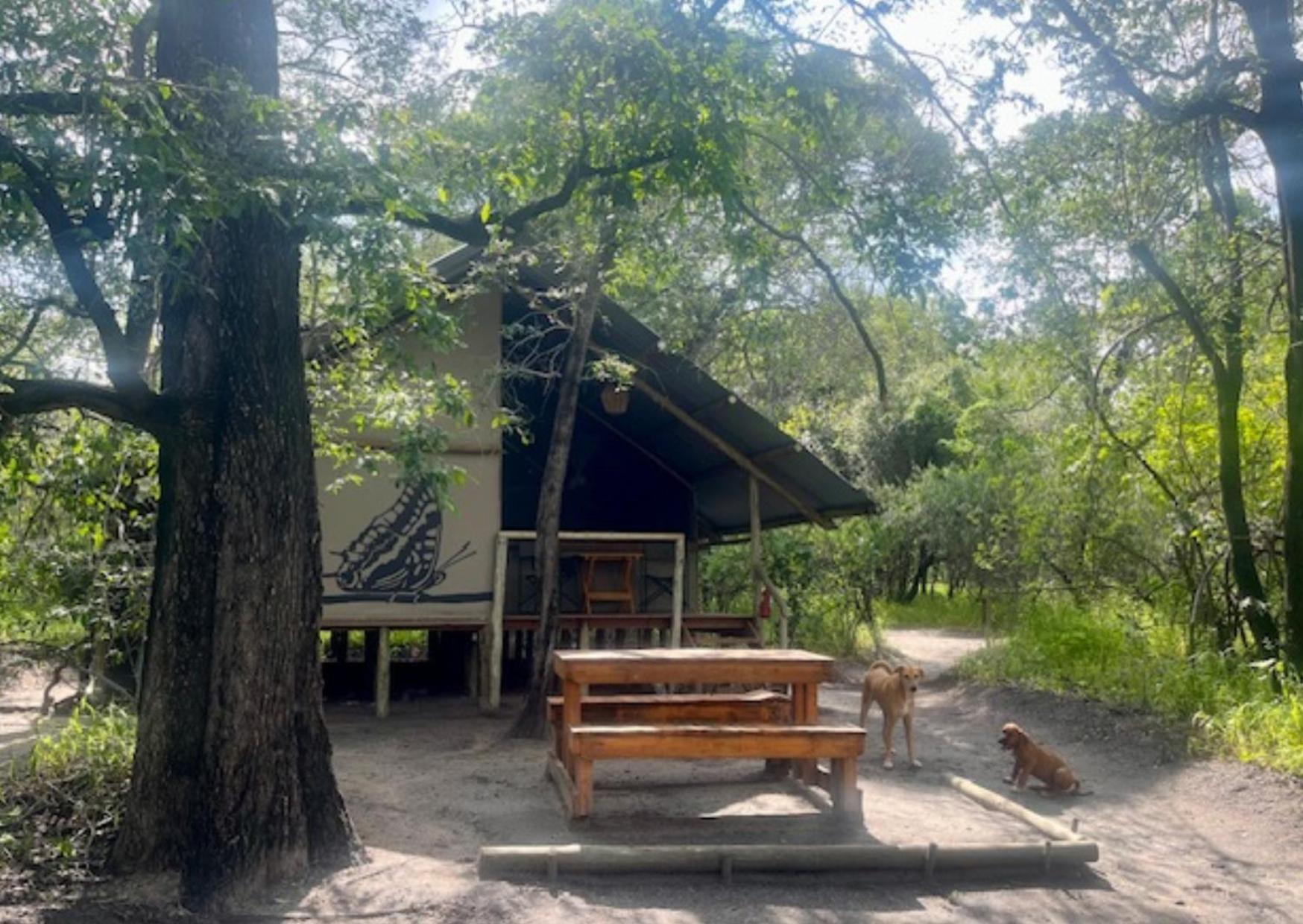 Phazama Farm Villa Maun ภายนอก รูปภาพ