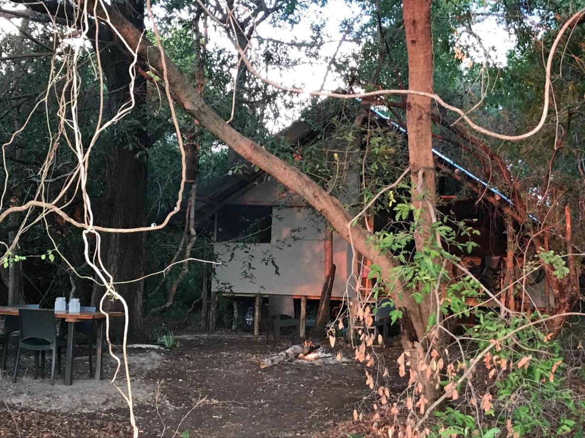 Phazama Farm Villa Maun ภายนอก รูปภาพ